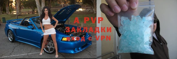 apvp Бородино