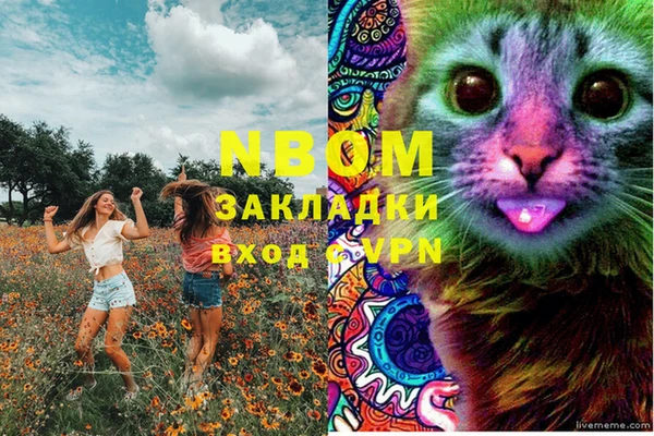 apvp Бородино