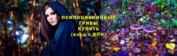 apvp Бородино