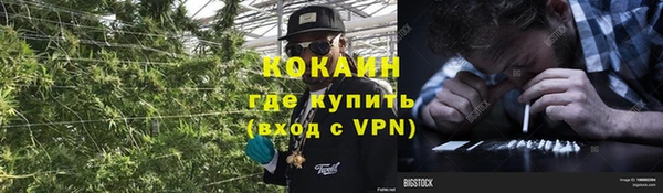 apvp Бородино