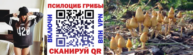 Галлюциногенные грибы мицелий Смоленск